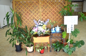 DSC_0108 - コピー.JPG